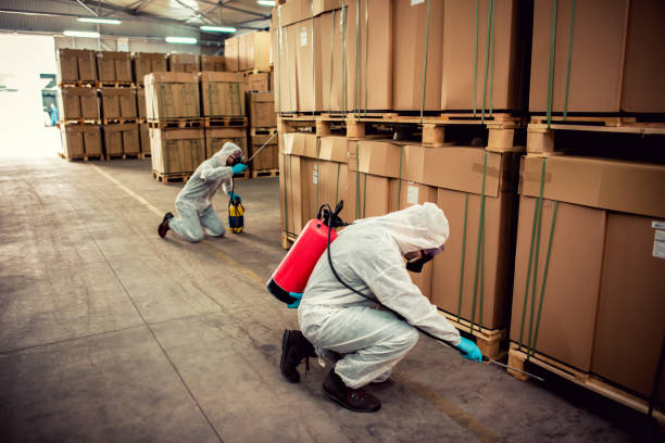 Best Mosquito Control Services  in Shannon, GA