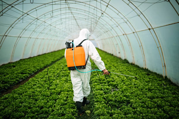Best Best Pest Control Companies  in Shannon, GA