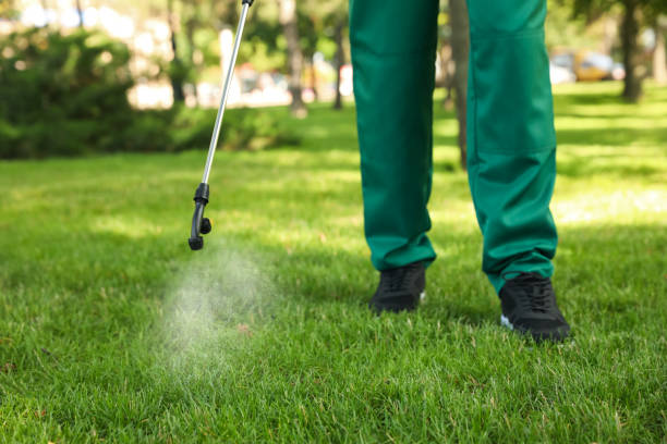 Professional Pest Control in Shannon, GA
