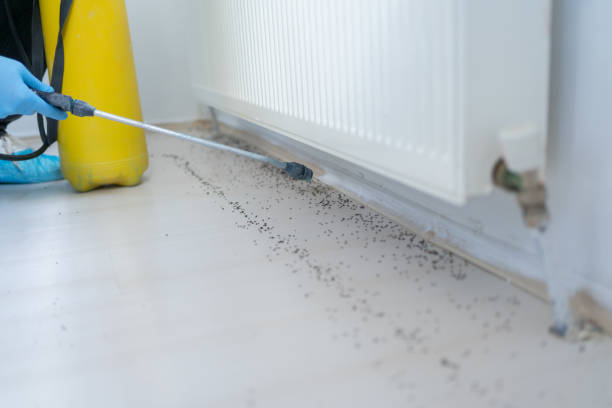 Best Emergency Pest Control  in Shannon, GA